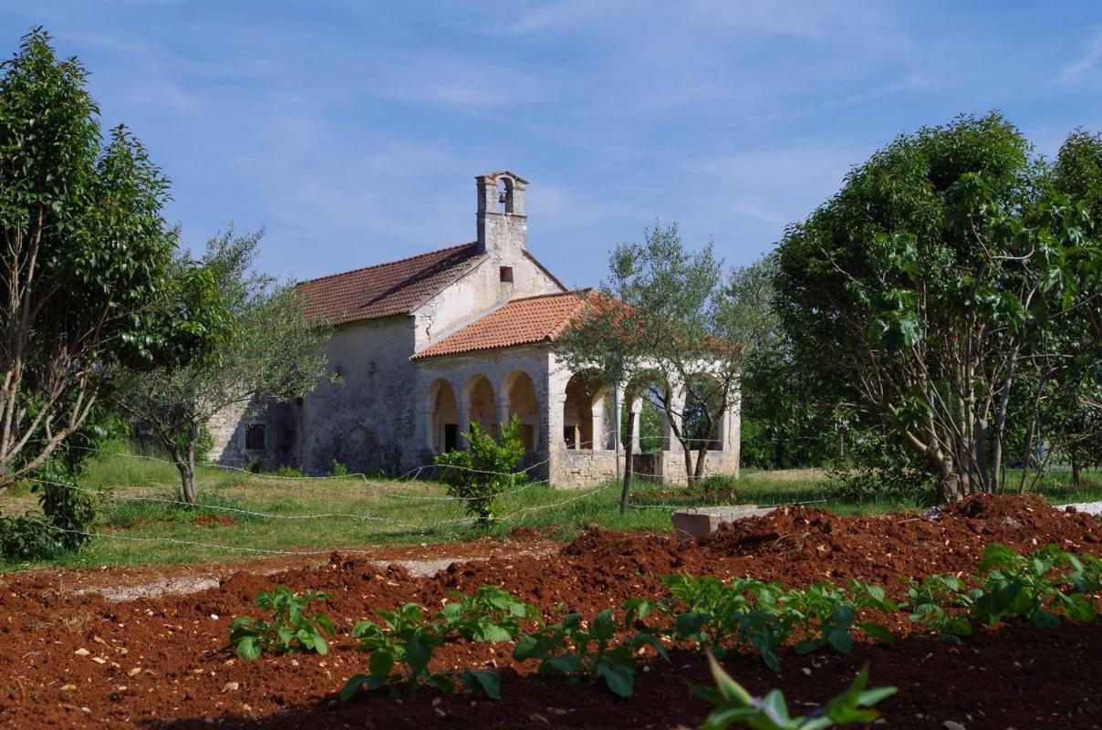 House Oliva, Sveti Kirin
